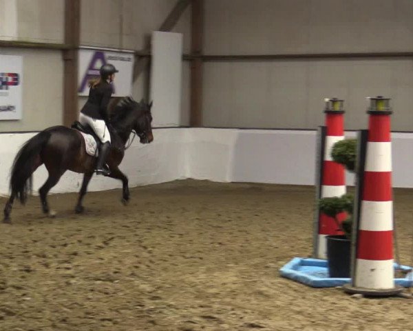 Reitturnier Barlo-Bocholt 2019