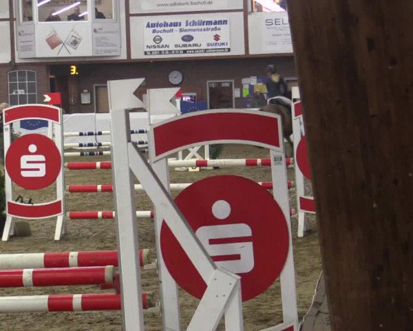 Reitturnier Barlo-Bocholt 2019
