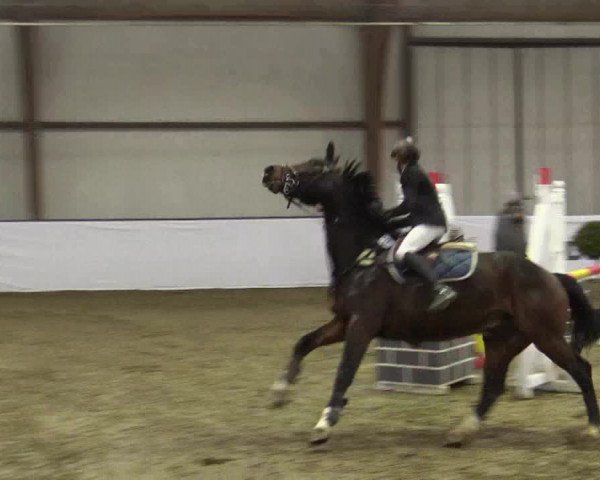 Reitturnier Barlo-Bocholt 2019