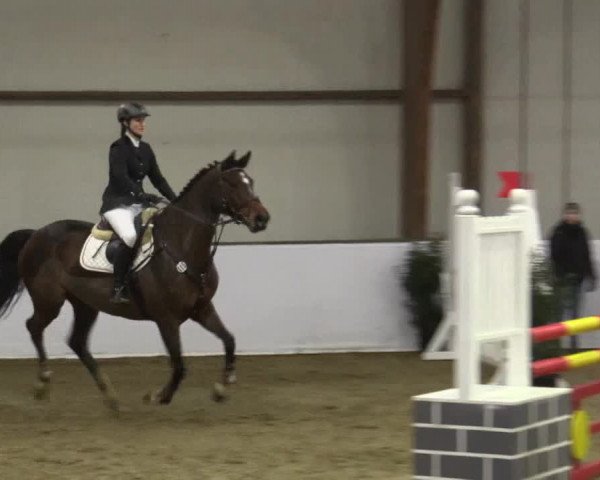 Reitturnier Barlo-Bocholt 2019