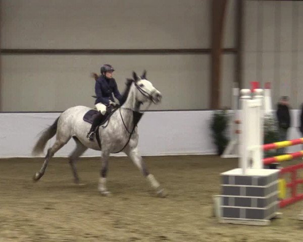 Reitturnier Barlo-Bocholt 2019