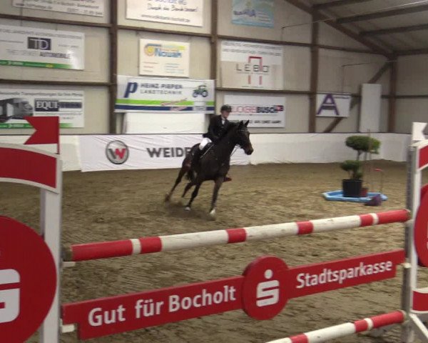 Reitturnier Barlo-Bocholt 2019