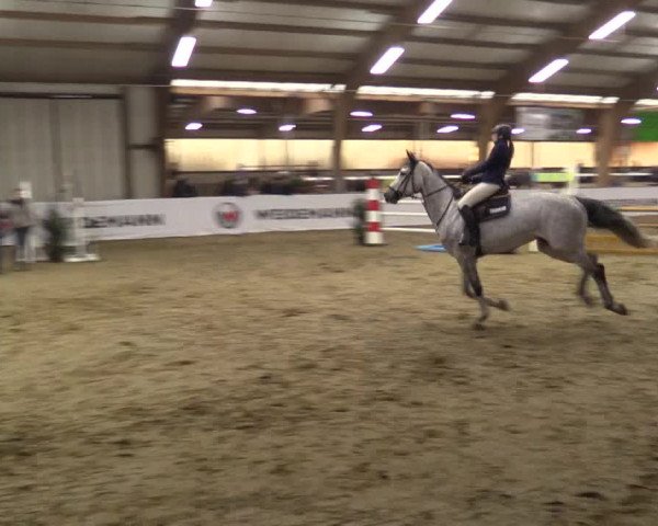 Reitturnier Barlo-Bocholt 2019
