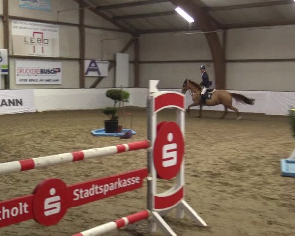 Reitturnier Barlo-Bocholt 2019