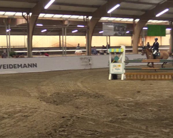 Reitturnier Barlo-Bocholt 2019