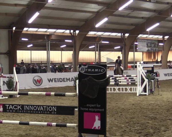 Reitturnier Barlo-Bocholt 2019