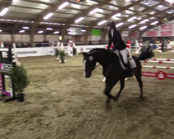 Reitturnier Barlo-Bocholt 2019