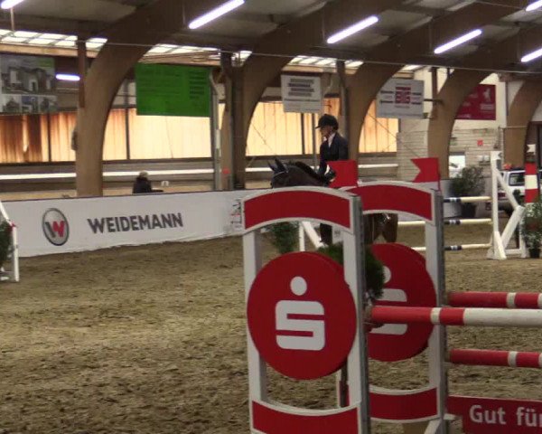 Reitturnier Barlo-Bocholt 2019