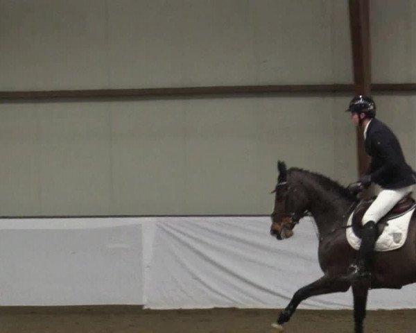 Reitturnier Barlo-Bocholt 2019
