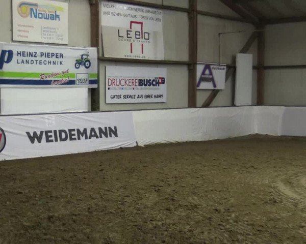 Reitturnier Barlo-Bocholt 2019