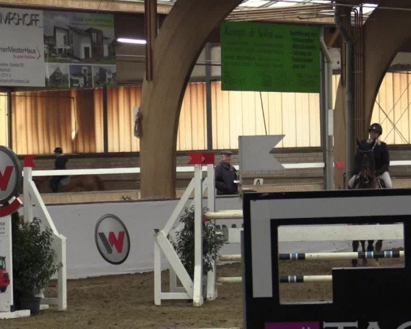 Reitturnier Barlo-Bocholt 2019
