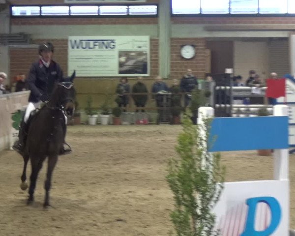 Reitturnier Heiden 2019