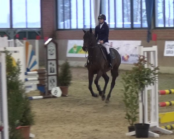 Reitturnier Heiden 2019