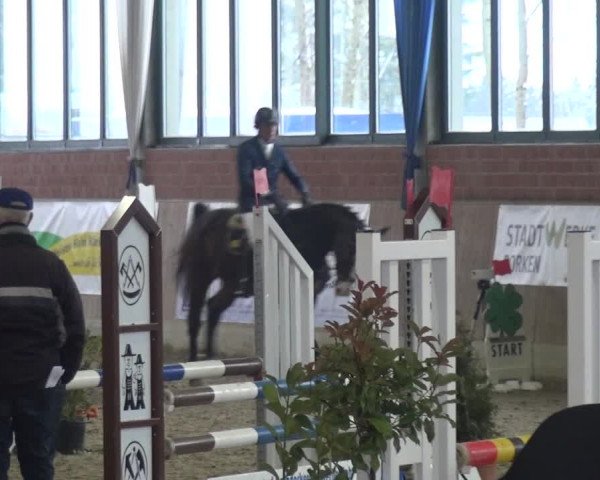 Reitturnier Heiden 2019