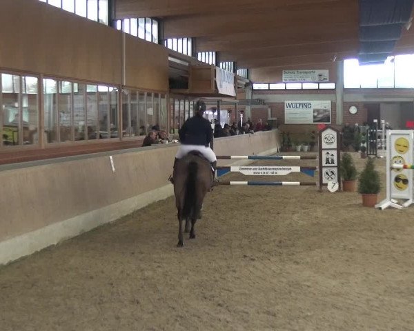 Reitturnier Heiden 2019
