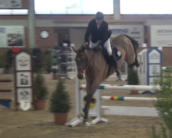 Reitturnier Heiden 2019
