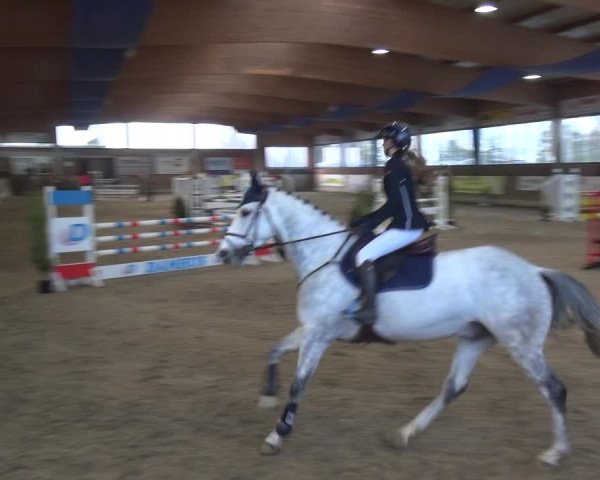 Reitturnier Heiden 2019