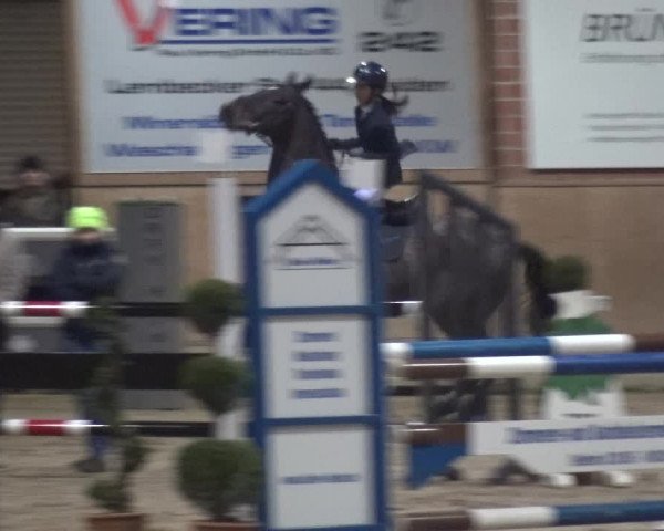 Reitturnier Heiden 2019