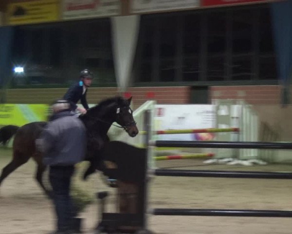 Reitturnier Heiden 2019