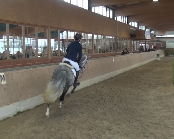 Reitturnier Heiden 2019