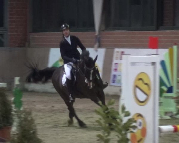 Reitturnier Heiden 2019