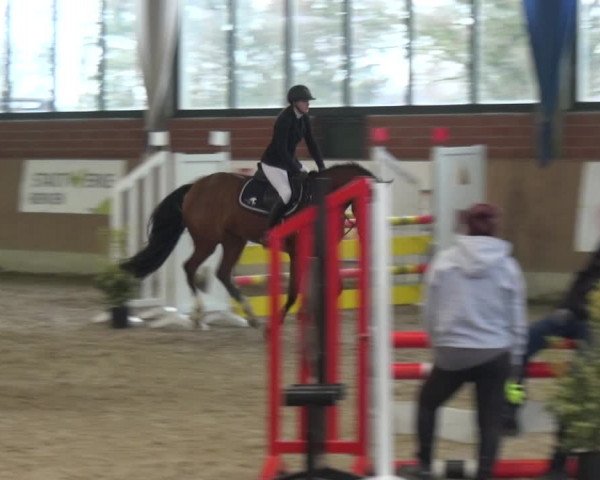 Reitturnier Heiden 2019