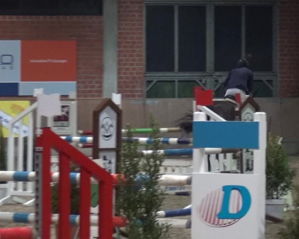 Reitturnier Heiden 2019