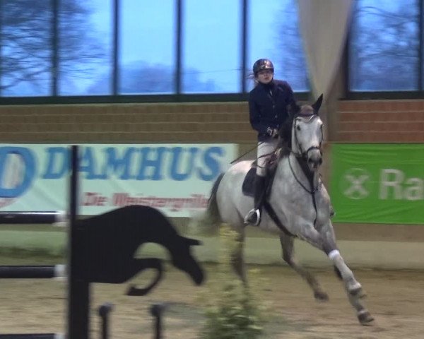 Reitturnier Heiden 2019