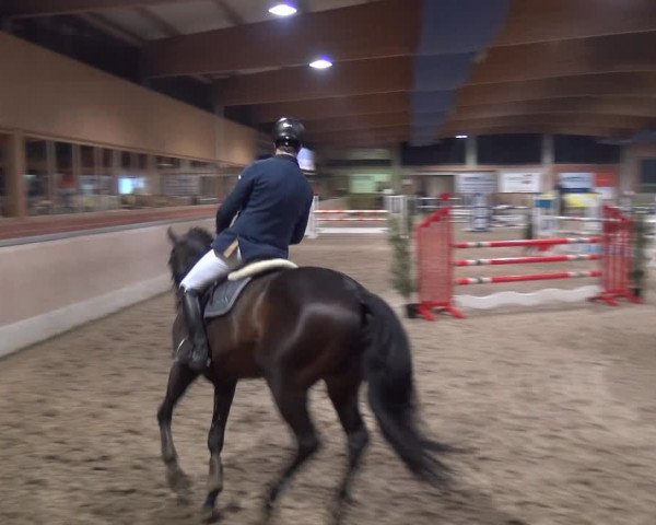 Reitturnier Heiden 2019