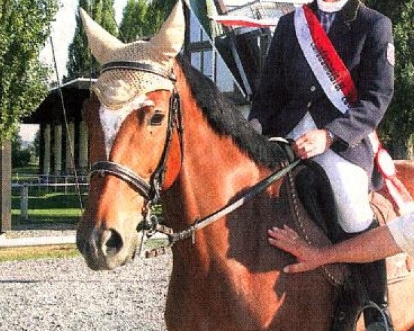 broodmare Pandora (Thuringia, 1998, from L'Ami)