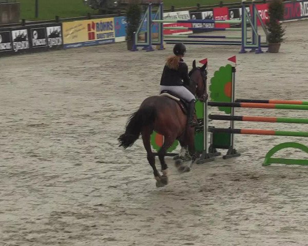 Reitturnier Westergellersen 2021