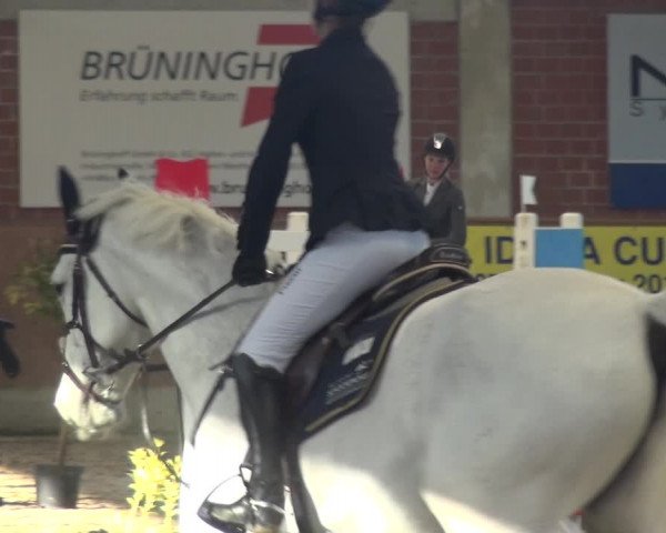Reitturnier Heiden 2019