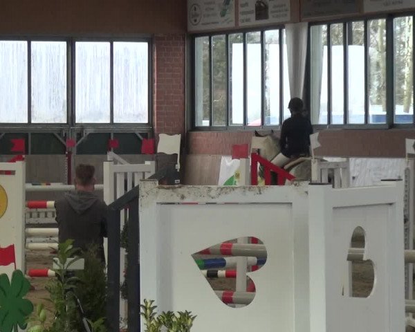 Reitturnier Heiden 2019