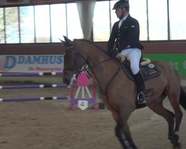 Reitturnier Heiden 2019