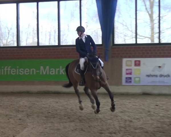 Reitturnier Heiden 2019