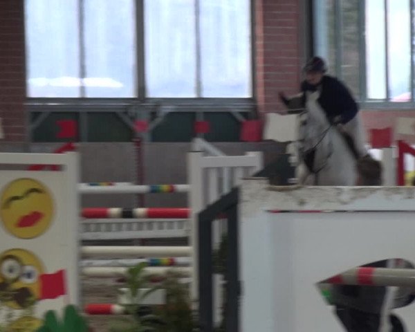 Reitturnier Heiden 2019