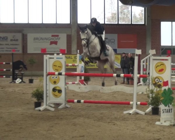 Reitturnier Heiden 2019