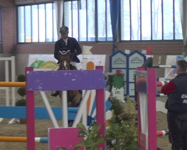 Reitturnier Heiden 2019