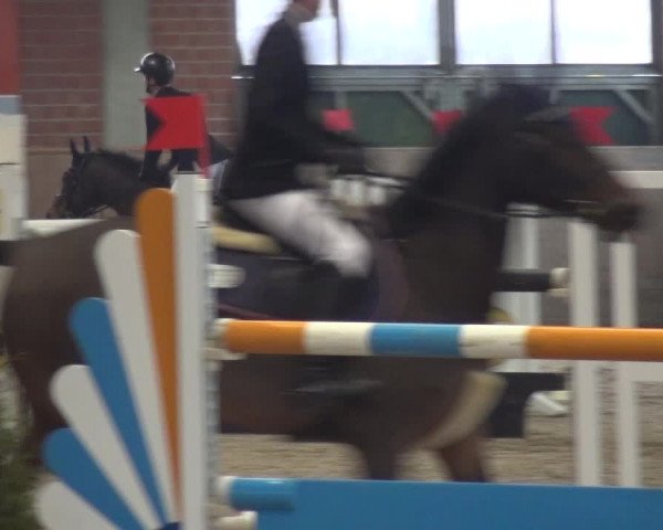 Reitturnier Heiden 2019