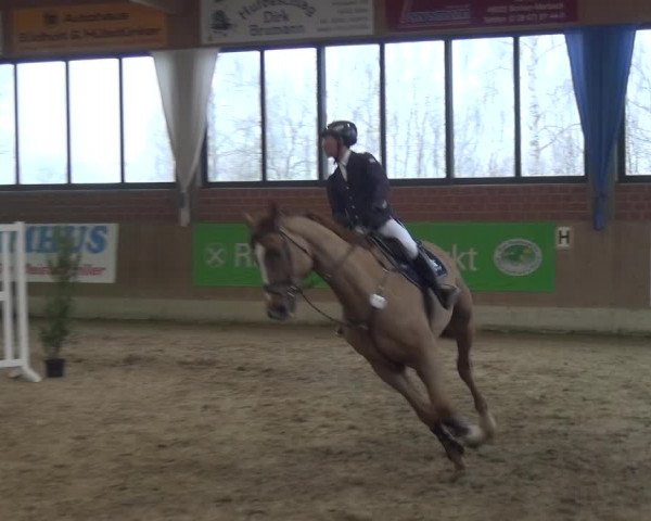 Reitturnier Heiden 2019