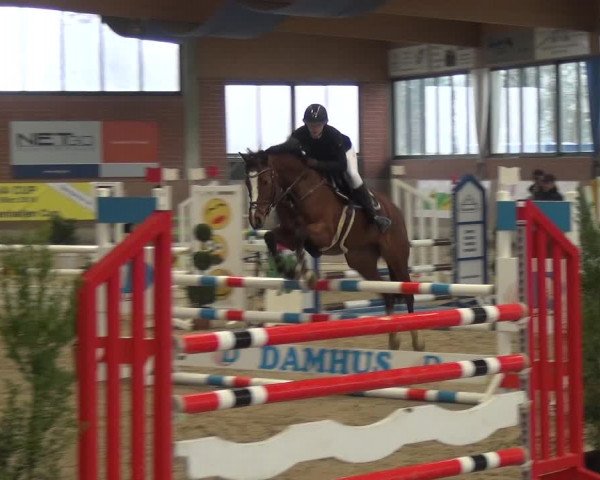 Reitturnier Heiden 2019