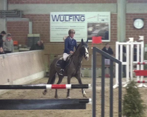 Reitturnier Heiden 2019