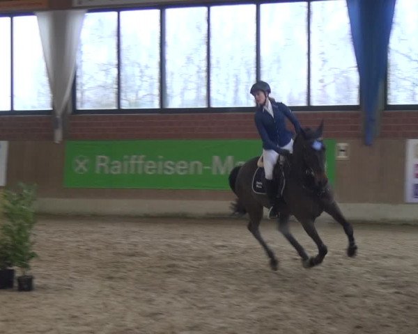 Reitturnier Heiden 2019