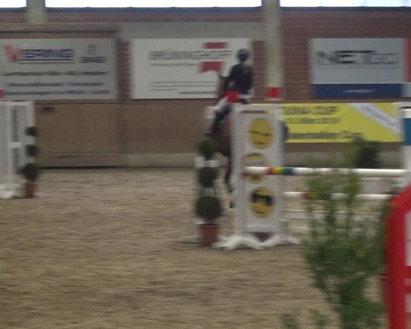 Reitturnier Heiden 2019