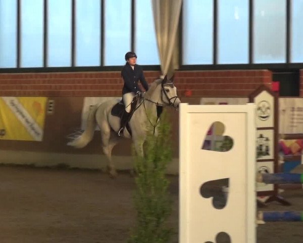 Reitturnier Heiden 2019