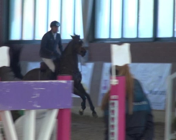 Reitturnier Heiden 2019