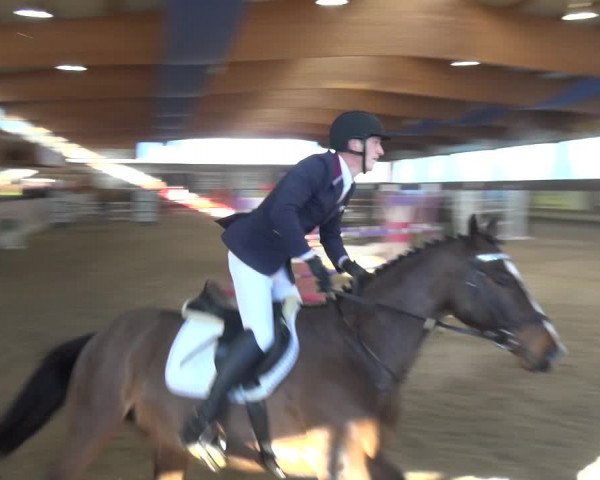 Reitturnier Heiden 2019