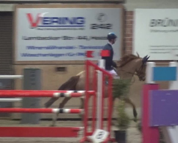 Reitturnier Heiden 2019