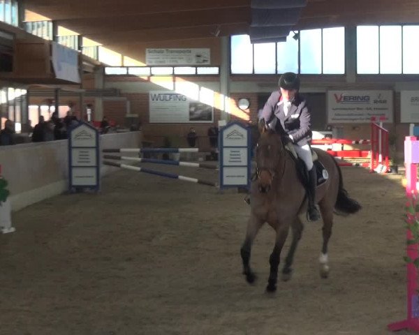 Reitturnier Heiden 2019