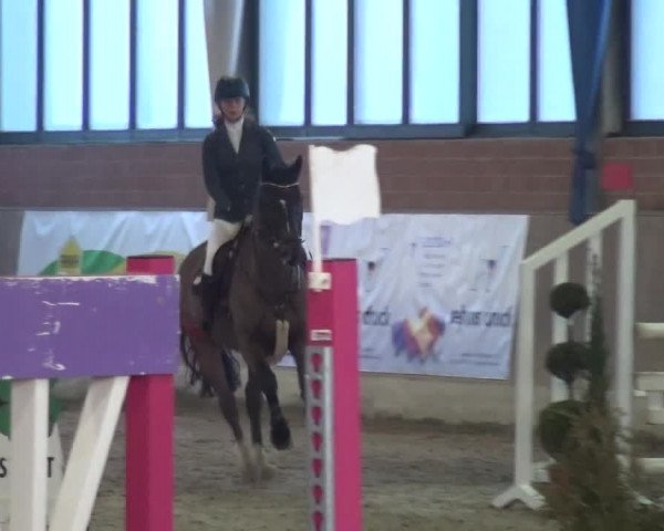 Reitturnier Heiden 2019